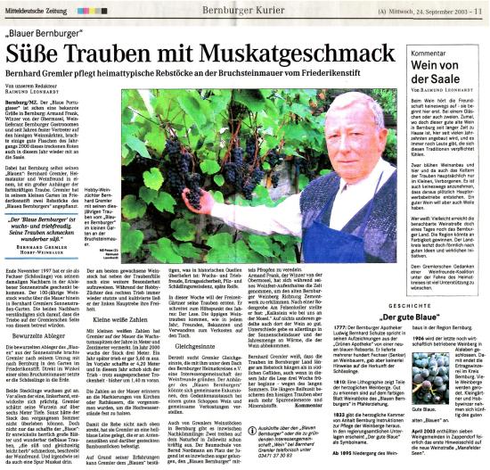 Pressebeitrag MZ